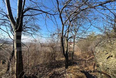 Teren de 17700 mp, în Central - 1