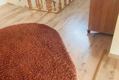 Casa de inchiriat la 850 euro - 10