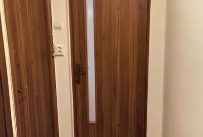 Apartament cu 2 camere semidecomandat în Freidorf - 5
