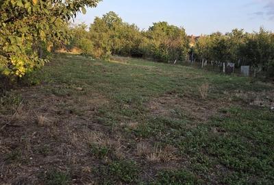 Casă individuală cu 3 camere cu Canalizare în Orțișoara - 15