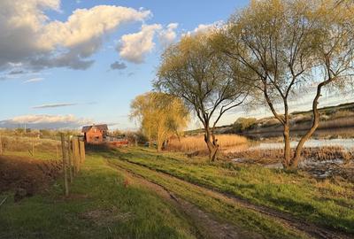 Spațiu comercial, în Valter Mărăcineanu - 4