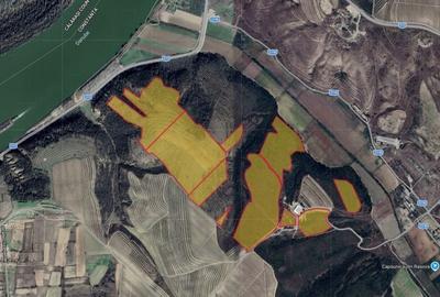 Teren de 380000 mp, în Rasova - 5