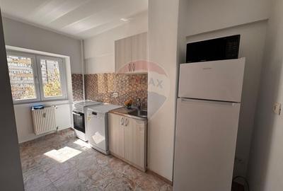 Apartament cu 4 camere decomandat, mobilat în Doamna Ghica - 16