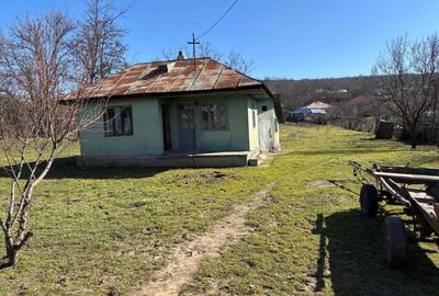 Casă în Mândrești - 3