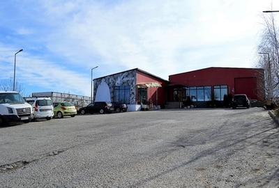 Hala industriala / Spatiu comercial - 1