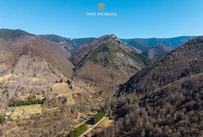 Teren agricol intravilan de 738 mp, în Poiana Mărului - 23