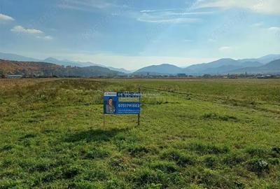 Teren de 10000 mp, în Tălmaciu - 1