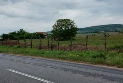 Teren de 11780 mp, în Merei - 4