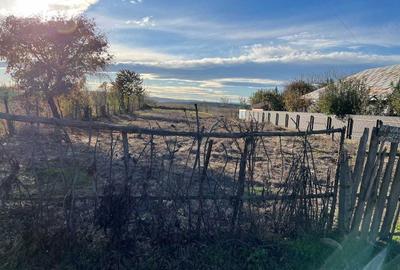 Spațiu comercial, în Adjudu Vechi - 1