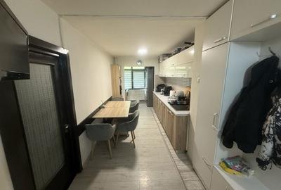 Apartament cu 2 camere în Banat - 5