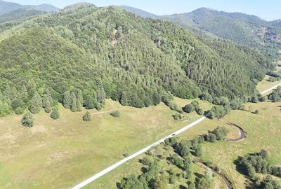 2 Loturi aprox.2200mp 25EUR/(total 6696mp) Barsa Fierului / Plaiul Foii - 4