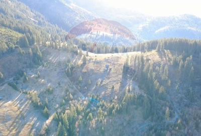 Teren extravilan de 31461 mp, în Panaci - 2