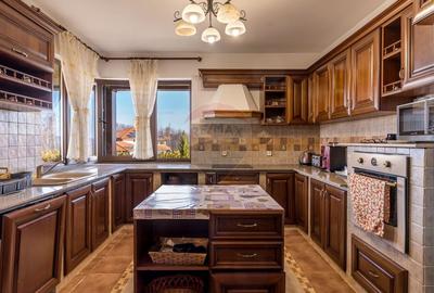 EXCLUSIV! Vila cu 7 camere, teren 7535mp, Risca, Comision 0% - 10