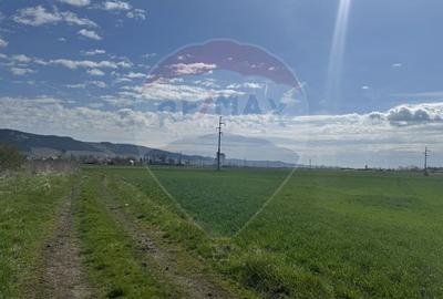 Teren Construcții extravilan de 8600 mp, în Luna de Jos - 9