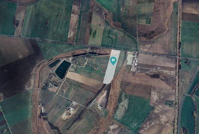 Teren compact de 50.000 mp la drum principal Teren compact de 50.000 mp la drum principal - 3