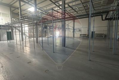 Hala de inchiriat - zona Calea Clujului, Oradea