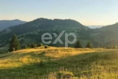 Teren agricol extravilan de 20000 mp, în Budeasa Mare - 2