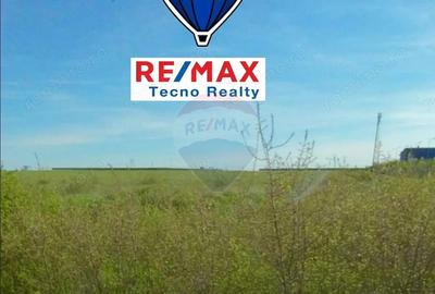 Teren 5,9 ha intravilan front stradal 150 m la 8km de Arad - 1