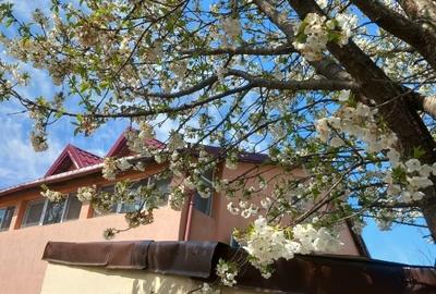 Casa 5 camere,S+P+E -Movilita -zona linistita langa lac,40km Bucuresti - 2
