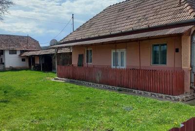 Casă cu 2 camere în Cinta - 8