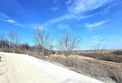 Teren Construcții intravilan de 500 mp, în Dorobanț - 2