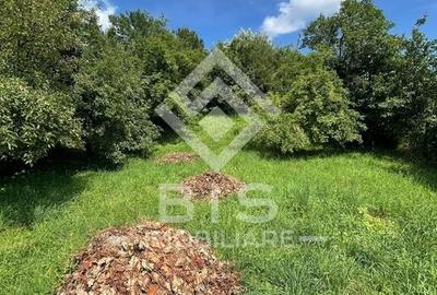 Teren 950m pentru constructii Valea Ghinzii la stradă - 3