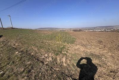 Teren de 5200 mp, în Mihoveni - 2