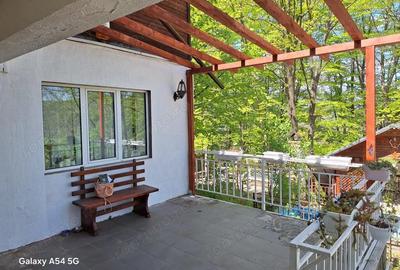 Casă cu 5 camere cu Teren 6242 Mp în Gura Beliei - 3