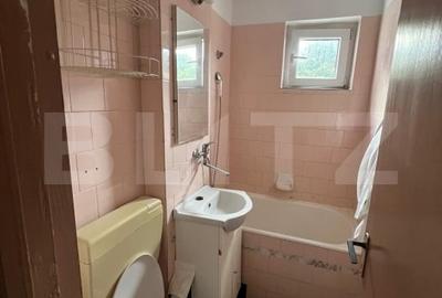 Apartament cu 2 camere, spatios si luminos | Zona Unirii - 7