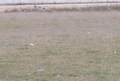 Spațiu comercial, în Bartolomeu - 3