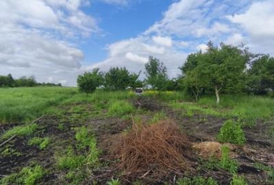 Casă cu 4 camere cu Teren 6000 Mp în Negostina - 8