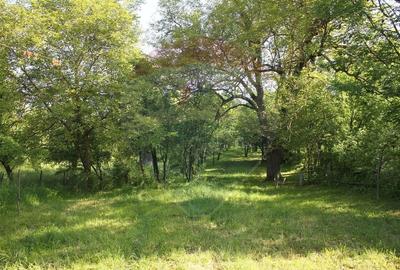 Casa / Vila cu 2 camere de vanzare - 9