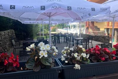 DE VANZARE Pensiune cu piscina, pastravarie, zona spa locatie de vis - 21