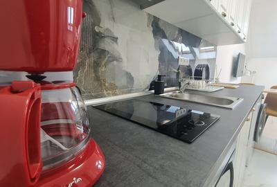 De inchiriat garsoniera moderna - 4