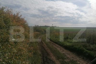 Teren 3000 mp, extravilan, Miroslava - 3