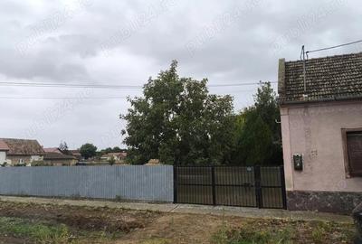 Casă cu 4 camere cu Teren 2539 Mp în Cenad - 6