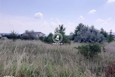 Spațiu comercial, în Valea Lupului - 3