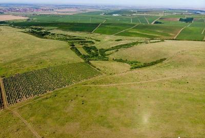Teren arabil de 349 hectare in Buzau - 2