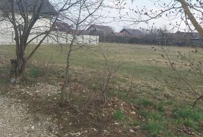 Teren de 1600 mp, în Central - 5