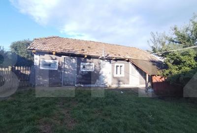 Casa tradi?ionala cu teren generos Brae?ti, Boto?a - 4