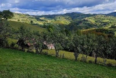 10.335 mp + imobil, splendoare si regasire in mijlocul naturii, Poiana Marului - 15