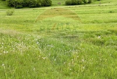 Teren agricol extravilan de 20876 mp, în Breb - 4