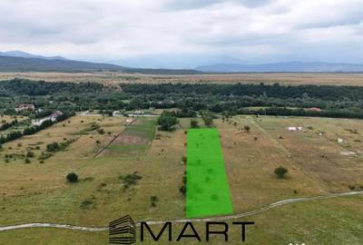 Teren de 5000 mp, în Avrig - 7