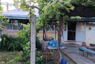 Casa in Miorcani - 6