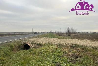 Teren de 6036 mp, în Nojorid - 4