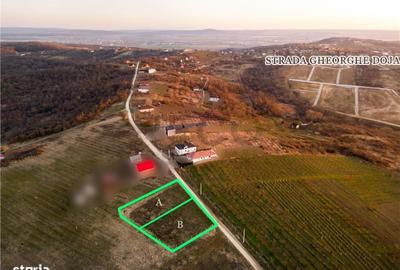 Spațiu comercial, în Central - 8