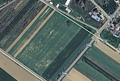 Teren de 4000 mp, în Leordeni - 3