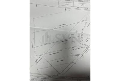 Teren agricol intravilan de 4200 mp, în Merii - 9