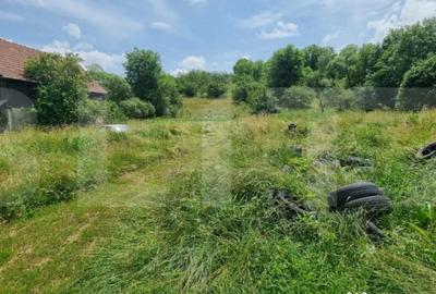 Teren de 14660 mp, în Suceagu - 3