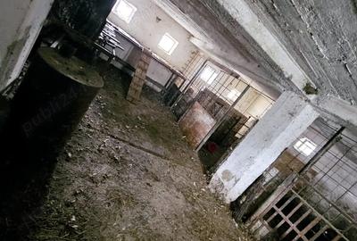 Vand casa+teren, zona Cicarlau, pret usor negociabil! - 9